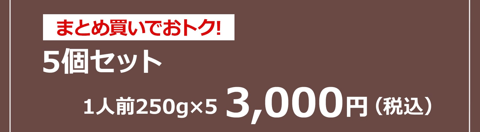 ロシアンスープ ツンドラ ボルシチ 5個入り 1人前250g×5 3,000円（税込）