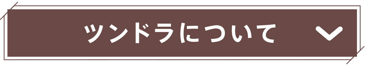 ツンドラについて