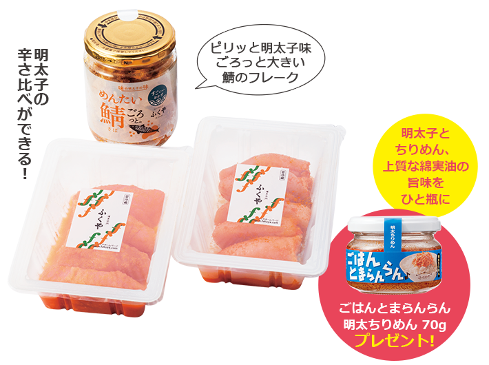 お試しセット