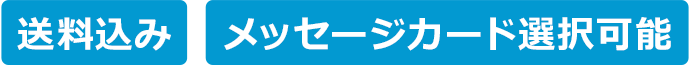 送料込み メッセージカード選択可能