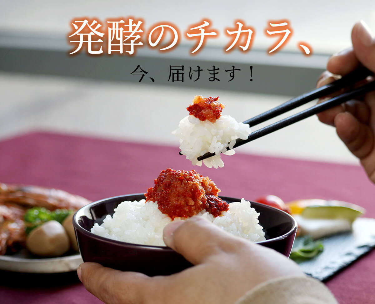 発酵のチカラ、今、届けます！