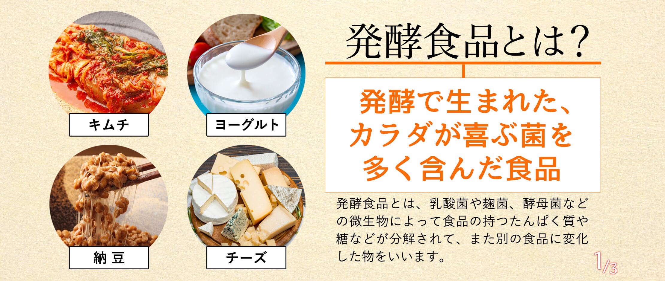 発酵食品とは？