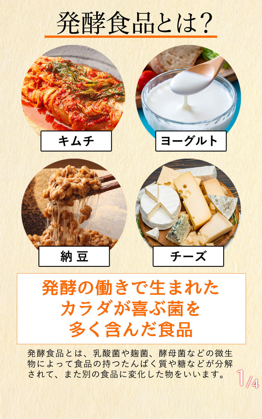 発酵食品とは？