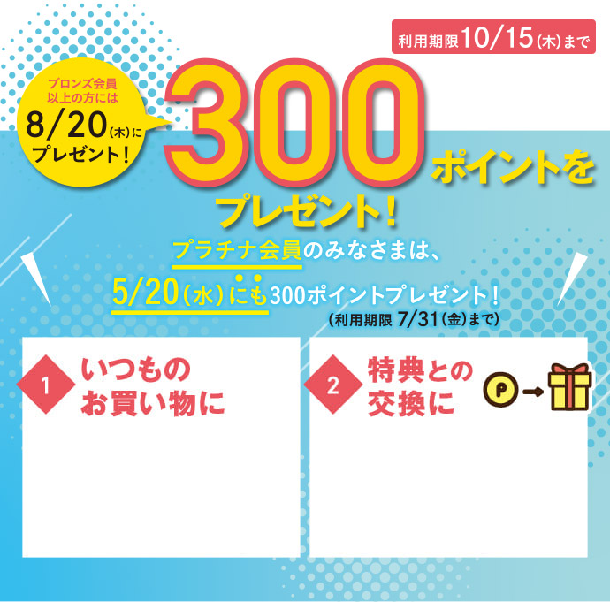 300ポイントをプレゼント