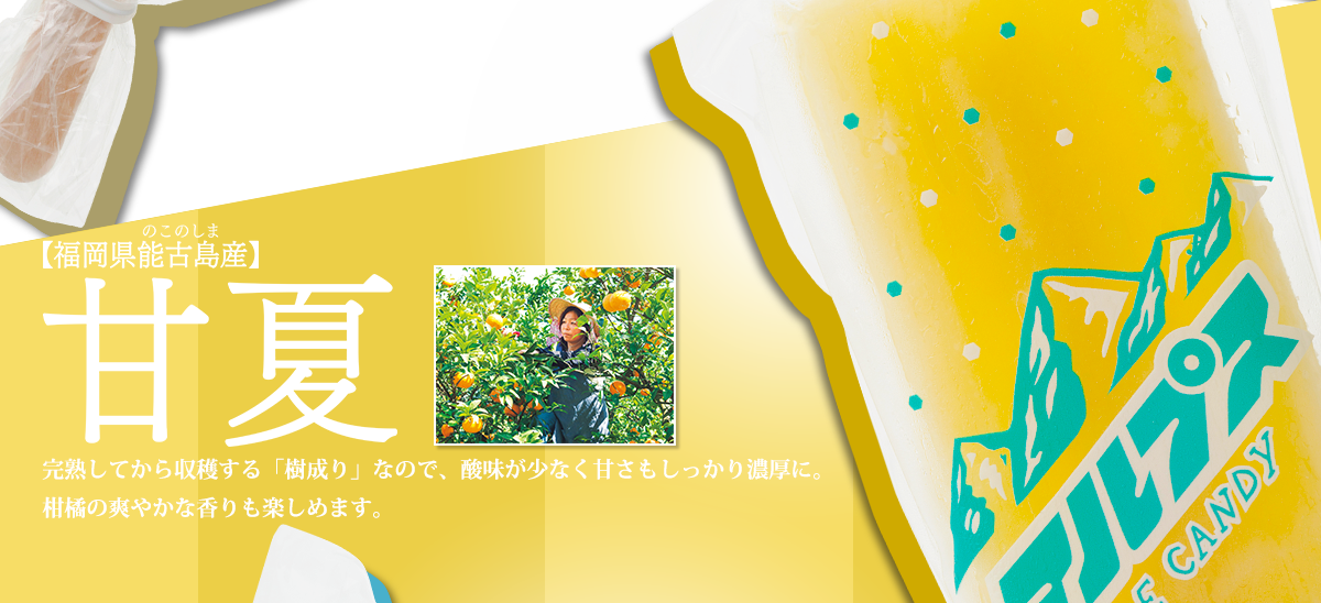 ふくや70周年記念 新商品 アルプスキャンデー 甘夏