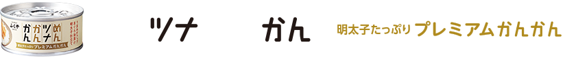 プレミアムかんかん