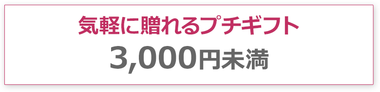 気軽に贈れるプチギフト3,000円未満