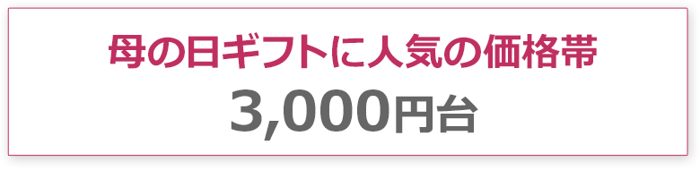母の日ギフトに人気の価格帯3,000円台
