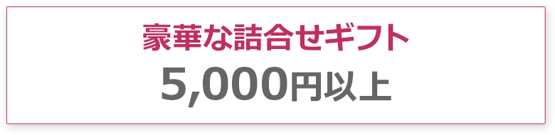 豪華な詰合せギフト5,000円以上