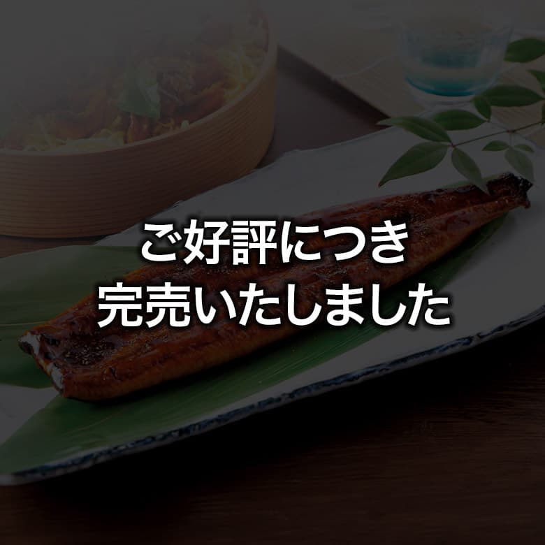 うなぎ蒲焼2尾セット ご好評につき完売しました