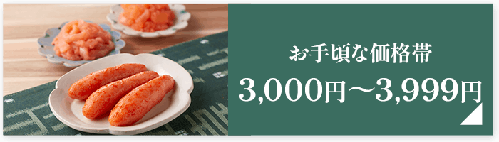 お手頃な価格帯3,000円～3,999円