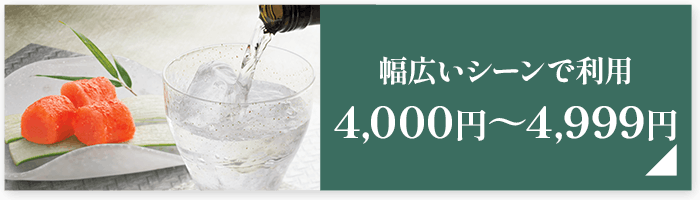 幅広いシーンで利用4,000円～4,999円