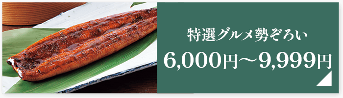 特選グルメ勢ぞろい6,000円～9,999円