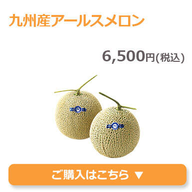 九州産アールスメロン
