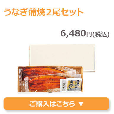 うなぎ蒲焼２尾セット