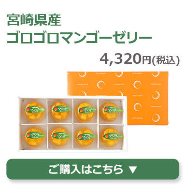 宮崎県産ゴロゴロマンゴーゼリー