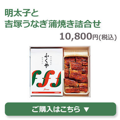 明太子と吉塚うなぎ蒲焼き詰合せ