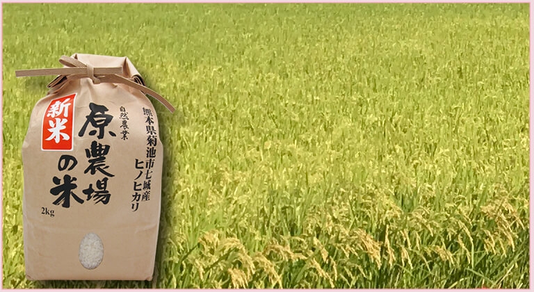 原農場の米