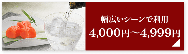 幅広いシーンで利用4,000円～4,999円