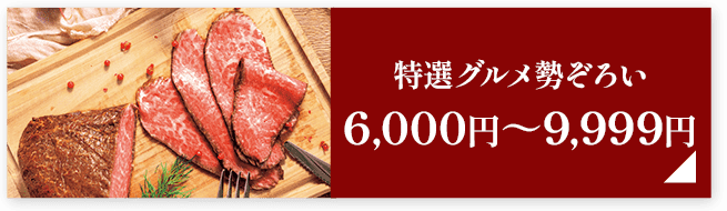 特選グルメ勢ぞろい6,000円～9,999円