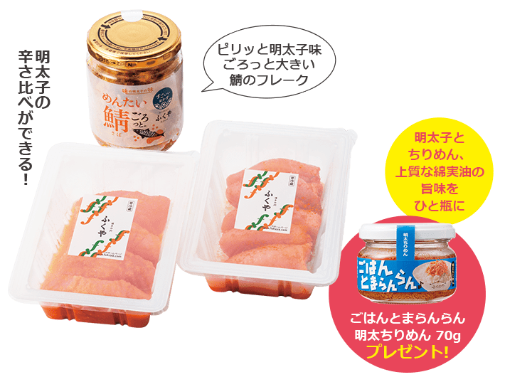 お試しセット