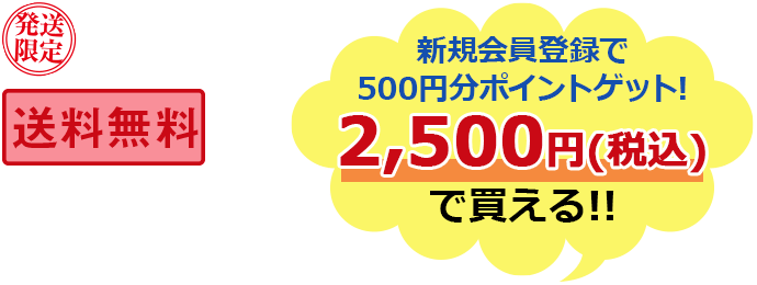 発送限定　送料無料
