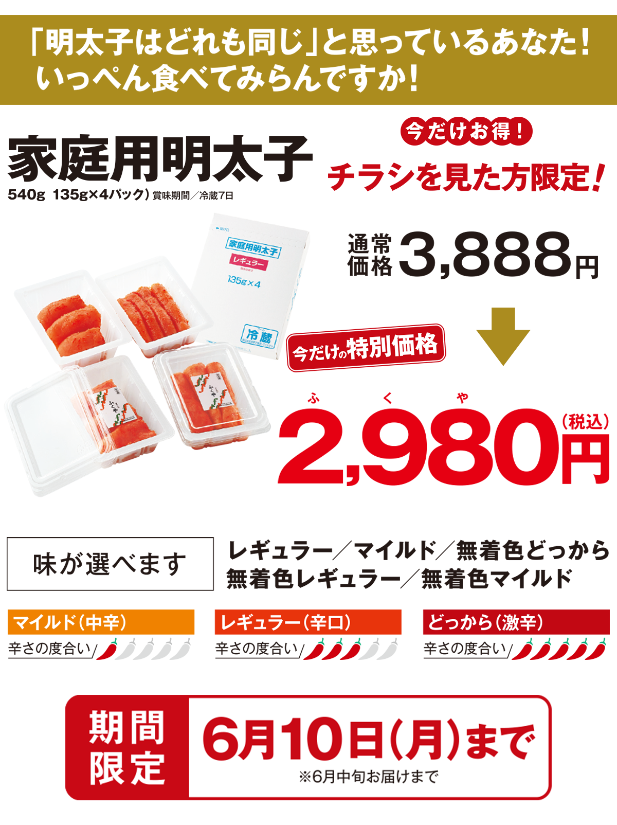 チラシを見た方限定