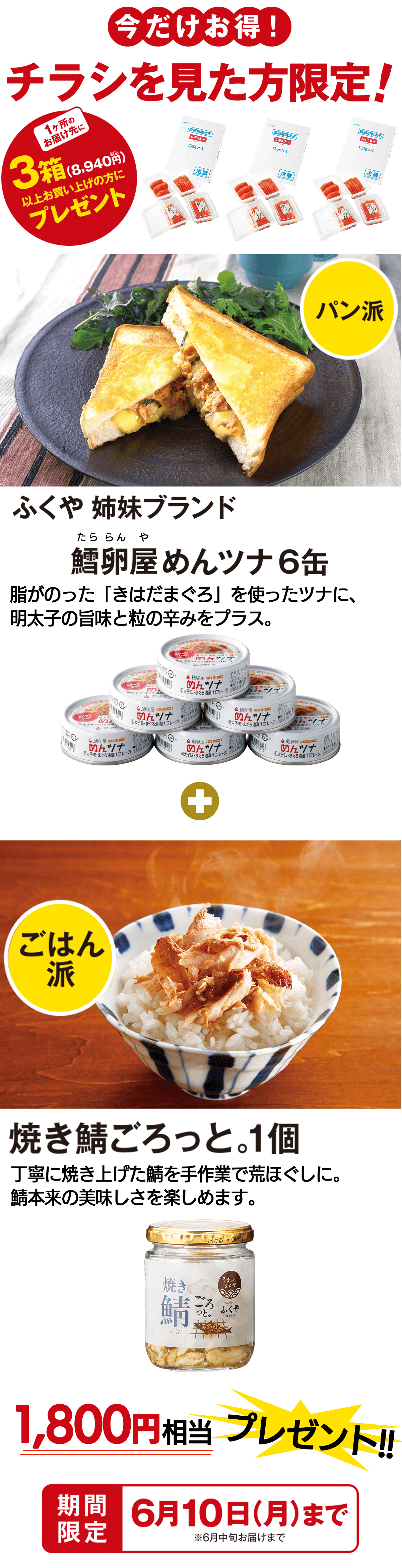 チラシを見た方限定