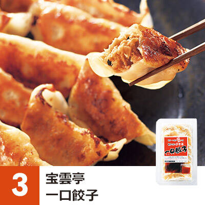 03_宝雲亭一口餃子