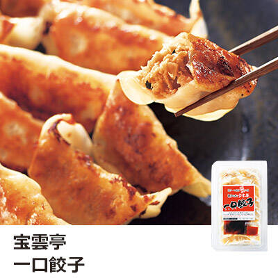 宝雲亭一口餃子