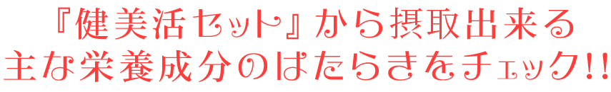 『健美活セツト』から摂取出来る各栄養成分のはたらきをチエツク!!
