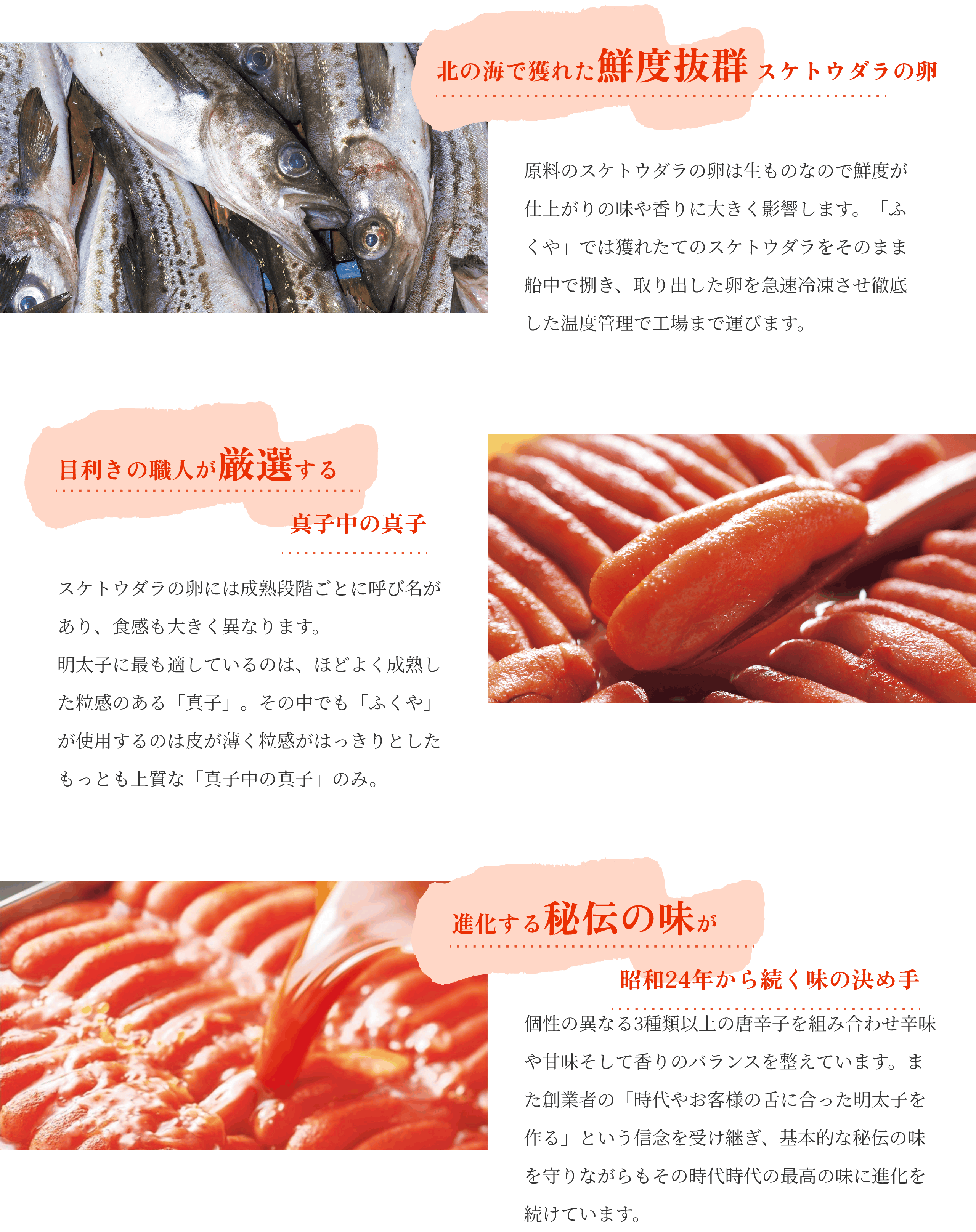 おいしさの秘密