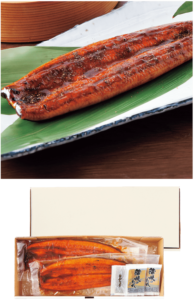 うなぎ蒲焼2尾セット