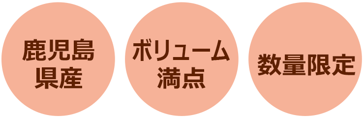 鹿児島県産 ボリューム満点 数量限定