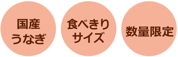 国産 食べ切りサイズ 数量限定